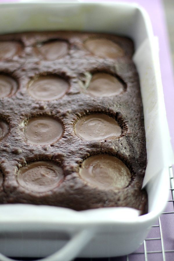 warm brownies baked with peanut butter cups