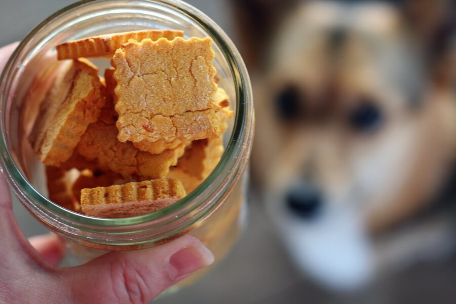 3 ingredient sweet potato dog biscuits
