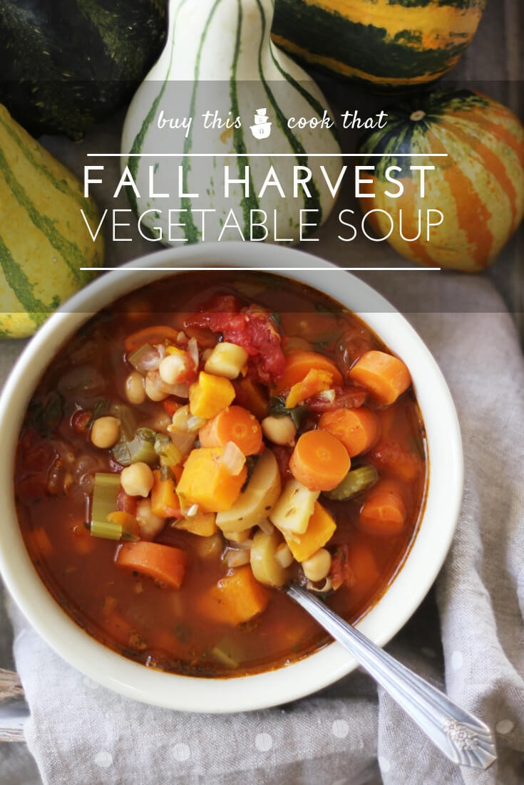 Fall Harvest Homemade Vegetable Soup | Buy This Cook That